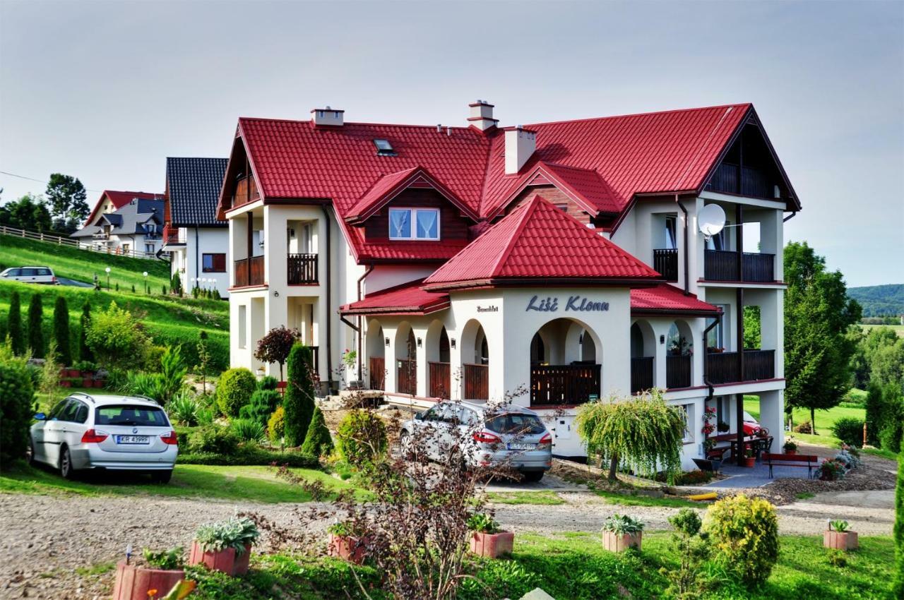 Apartamento Lisc Klonu Polańczyk Exterior foto